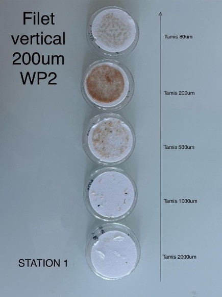 Biomasse collectée dans le WP2