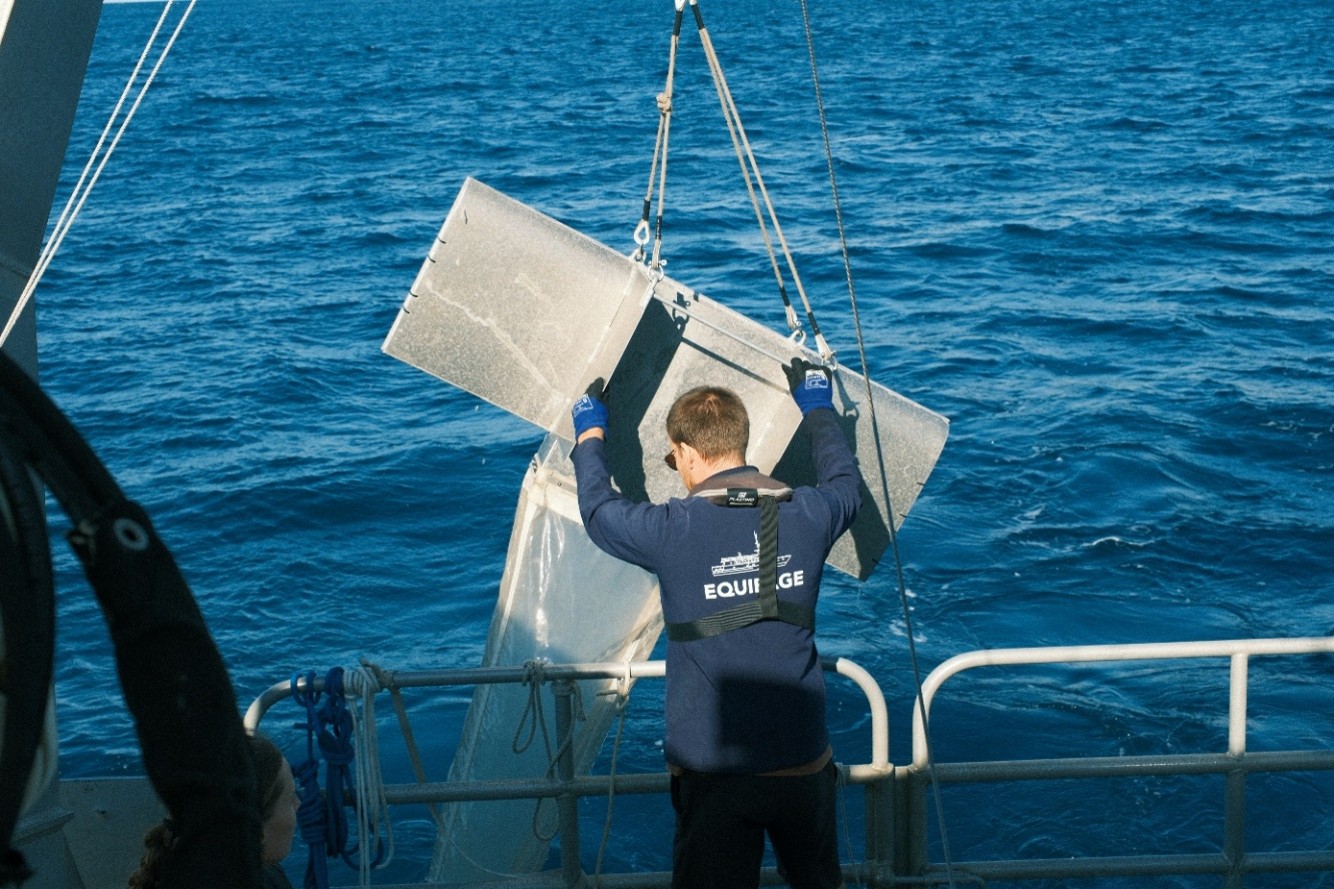 Filet Manta