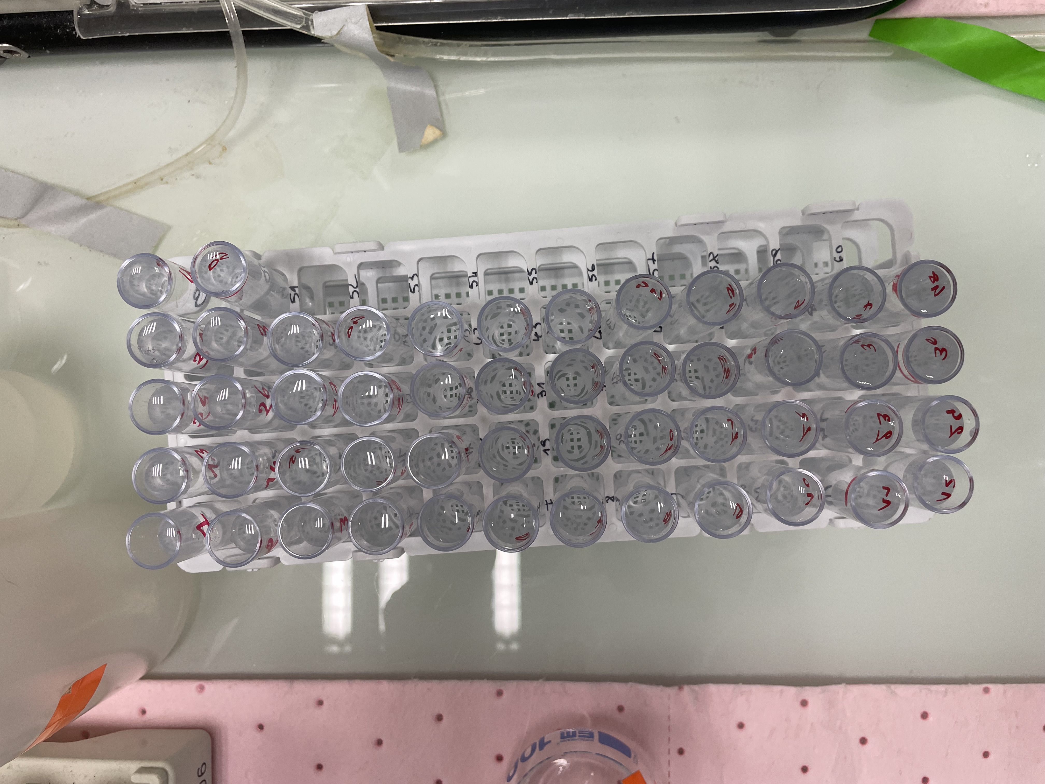 Tubes à essais avec échantillons